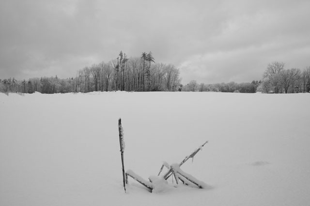 032___39__E2EW3928_3_SNOW_CORN copy