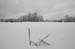 032___39__E2EW3928_3_SNOW_CORN copy